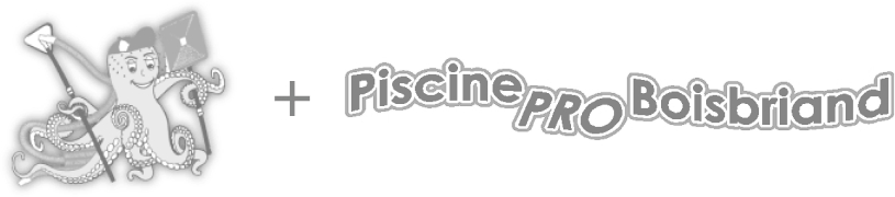 Multi Service PC et Piscine Pro Boisbriand